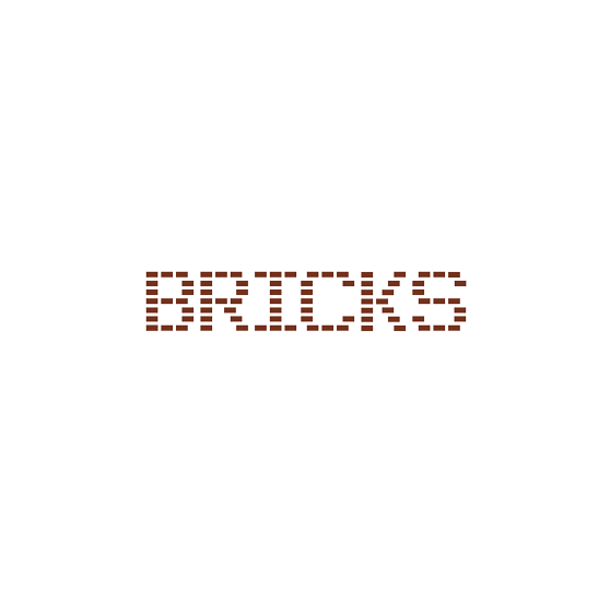 BRICKS 자체 IP 브랜드